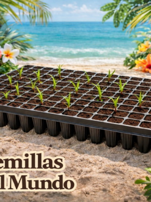 KIT Bandeja cultivo + GrowPellets104