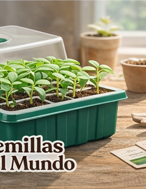 Germinador GrowBasic12