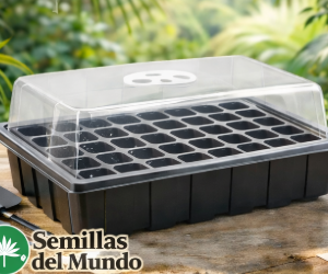 Germinador GrowBasic40
